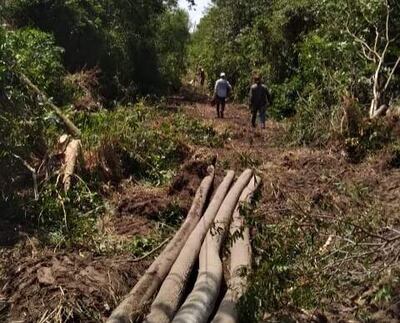 Un grupo de vecinos de Puerto Barranquerita ingresa en un sector despoblado para trabajar en el mejoramiento del tendido eléctrico.