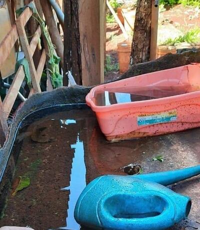 Los propietarios deben ser responsables de la limpieza de sus casas.