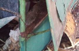 Los malvivientes rompieron las paredes de la librería e ingresaron por allí