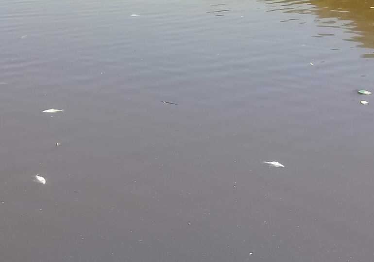 /pf/resources/images/abc-placeholder.png?d=2422