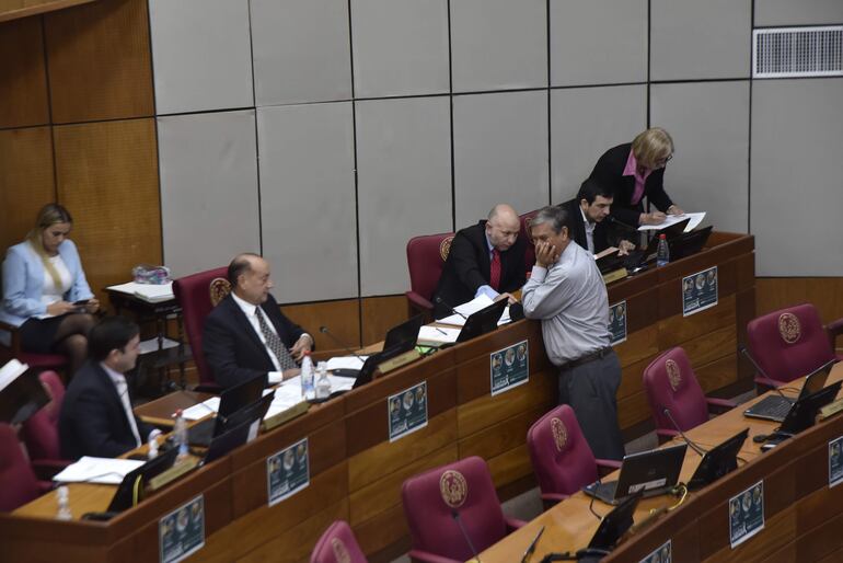 Los senadores no reunieron los 23 votos para ratificarse en su versión. 