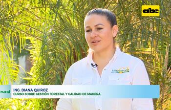 Actividad forestal y la importancia de cada actor de la cadena