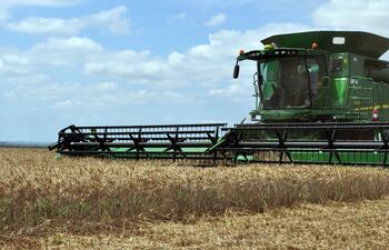 Pese a que se produjo menos trigo el año pasado, ingresó más dinero al país con relación al año 2021 gracias a los precios internacionales.