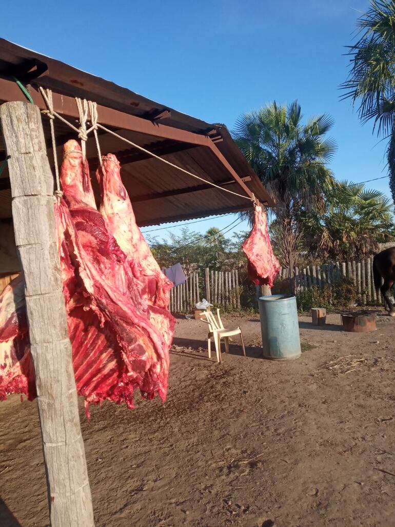 El robo de animales vacunos es permanente en esta zona chaqueña, donde los abigeos mantienen en zozobra a los ganaderos.