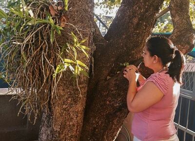 Convierta la eliminación de criaderos en una rutina.