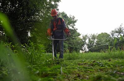 Mantener el terreno limpio es exclusiva responsabilidad del dueño. Ante la propagación del dengue, los municipios podrán  intervenir los predios sucios y sus propietarios serán multados.