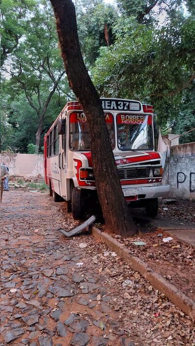 Así quedó el bus tras quedarse sin frenos. Chocó contra un árbol que estaba en la vereda