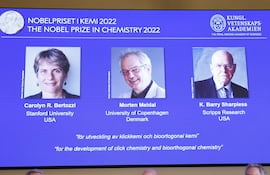 Los científicos Carolyn Bertozzi, Morten Meldal y K.Barry Sharpless son los ganadores del Premio Nobel de Química por el desarrollo de la química del clic, que ha permitido mejorar la orientación de los productos farmacéuticos contra el cáncer, anunció la Academia Sueca de Ciencias en Estocolmo.