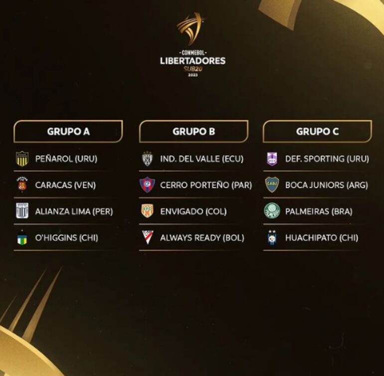 Copa Libertadores Sub 20.