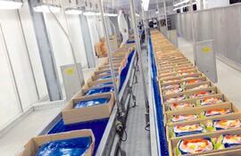 Bumerangue ocupa una posición destacada en el sector en que actúa, atendiendo con eficiencia las necesidades de los más diversos
segmentos industriales.