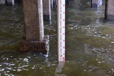 Regla de medición del nivel del río Paraguay, en el muelle del Puerto de Asunción, que tras un año está recuperando niveles que dan respiro a la navegación fluvial, pero los pronósticos para los próximos meses no son alentadores.
