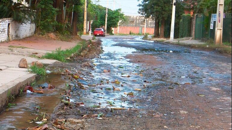Bache en la calle Hermenegildo Roa casi Cañada.