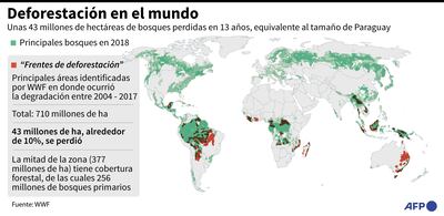 DEFORESTACIÓN EN EL MUNDO