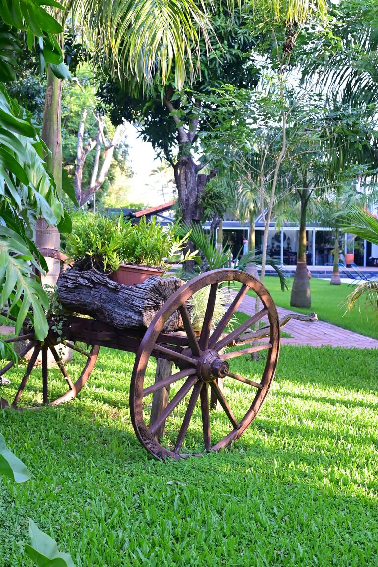 Reutilizar maderas como macetas.