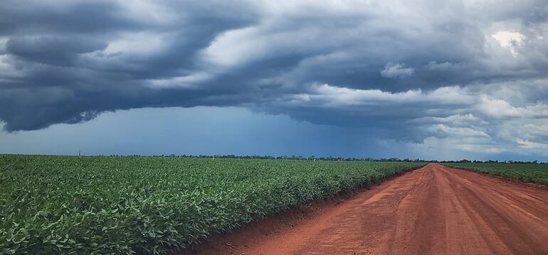 La fuerte lluvia de hoy ayuda a la producción de granos en el departamento de Caaguazú.