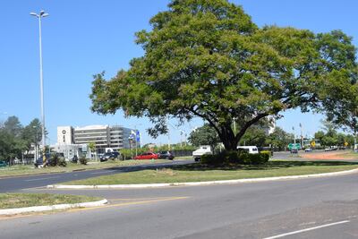 MOPC promete que todo el año mantendrá limpia la zona aeropuerto en Luque.