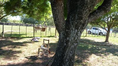 El cuerpo se encontró al costado del alambrado.
