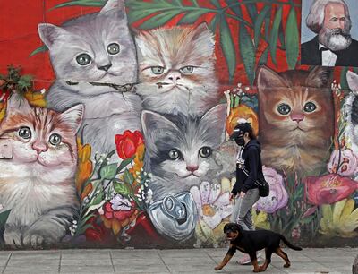 Una mujer con mascarilla pasea a un perro en el barrio Villa Crespo de Buenos Aires, Argentina.