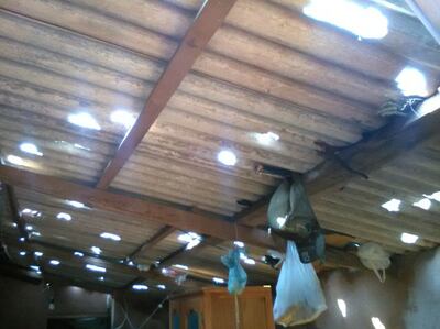 /pf/resources/images/abc-placeholder.png?d=2413