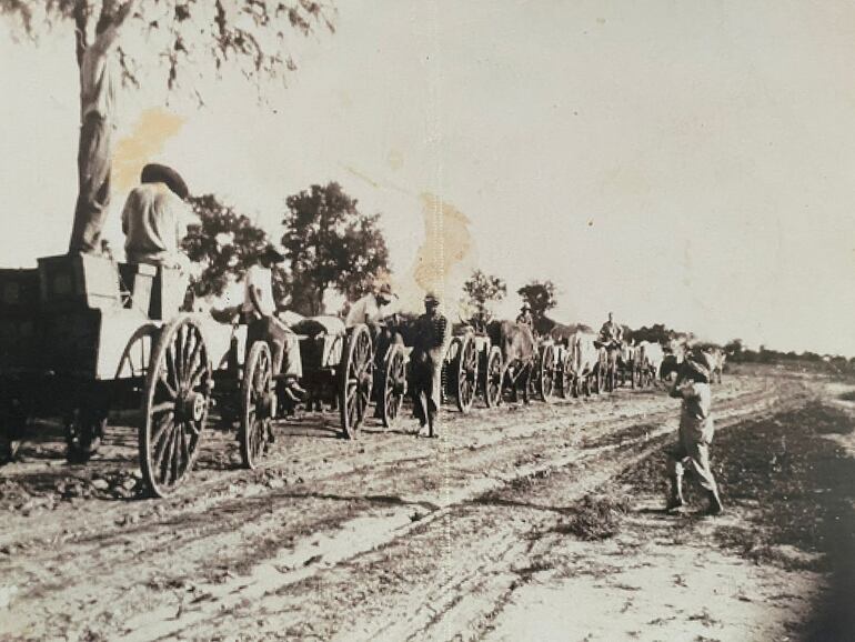 Caravana de carretas tirada por bueyes, foto restaurada y expuesta en el museo de Punta Riel.