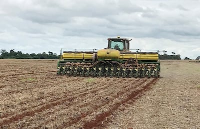 Una mala instalación de la semilla a la hora de la siembra, puede costarle caro al productor en la germinación.