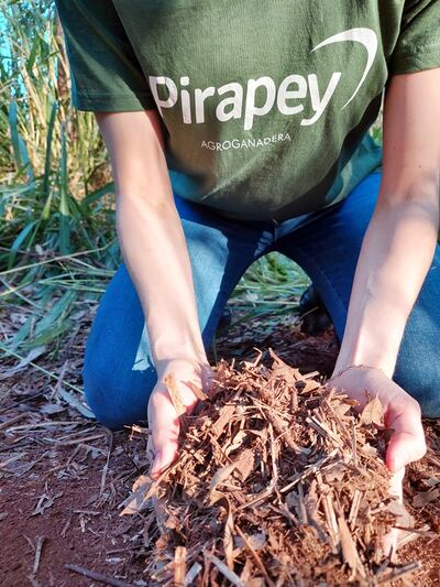 La empresa contribuye a la recuperación de los suelos.
