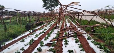 Daños causados por el temporal en Caaguazú.