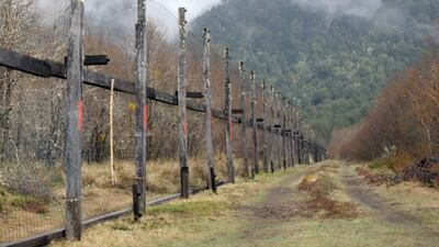 Camino al interior de la Reserva Biológica de Huilo Huilo en la Región de los Ríos (Chile).