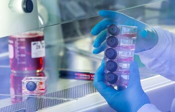 Una científica trabaja en un laboratorio del Instituto Friedrich Loeffler, en la isla alemana de Riems. El Instituto Federal de Investigación en Sanidad Animal de Alemania tiene el mandato de mantener la salud de los animales productores de alimentos, por un lado, y proteger a los humanos de las zoonosis, por otro.