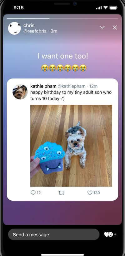 Así son los "fleets", el nuevo producto de Twitter que desaparece en 24 horas.