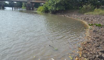 El arroyo Caañabé tiene un tono oscuro en prácticamente todo su curso por efecto de la  descarga de  contaminantes en su cuenca.