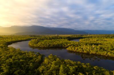 Vista aérea de la selva amazónica en Brasil.