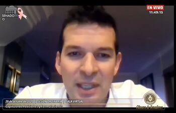 Senador Sergio Godoy, en sesión virtual.