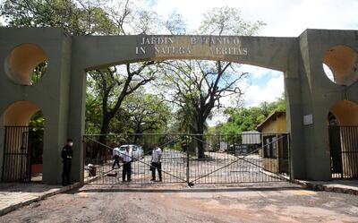 El Botánico está abierto solo para caminatas, de 7:00 a 19:00. Se debe llevar tapabocas, alcohol y agua propia.