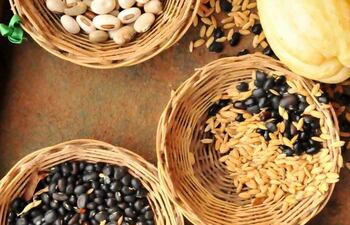 Mujeres campesinas de Conamuri organizan este sábado 14, una feria de semillas y productos orgánicos en Repatriados.