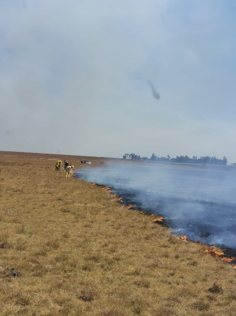 Imagen muestra gran parte del terreno destruido. (Gentileza).