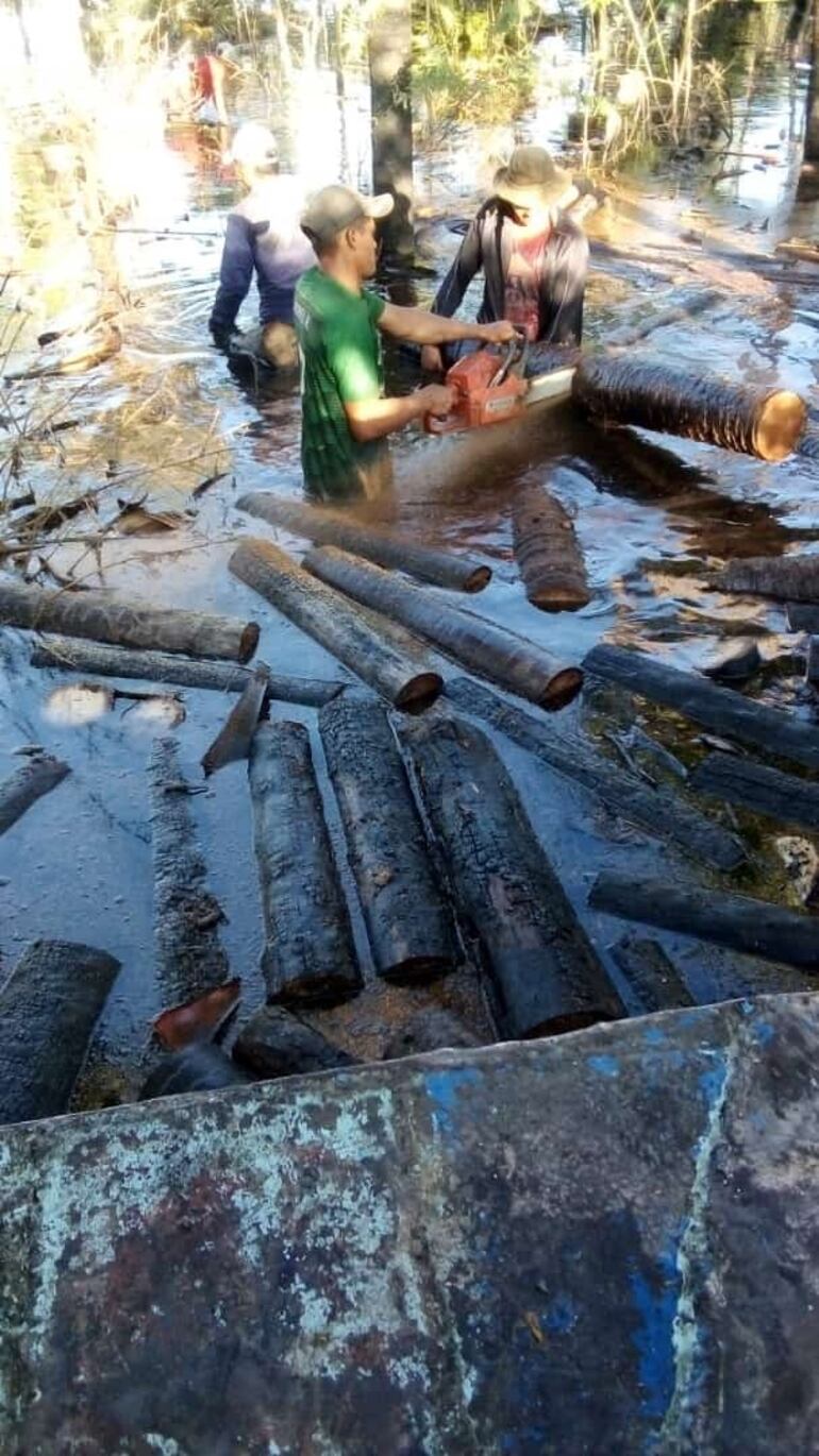 Leña mojada es lo que consiguen los caleros para sus hornos.