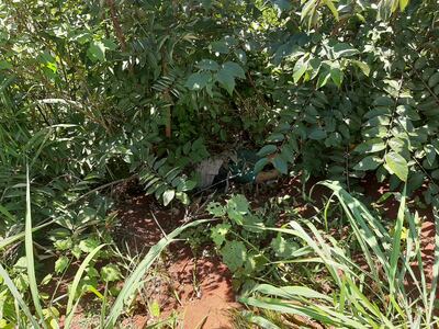 El cuerpo sin vida de un hombre fue encontrado en un matorral.