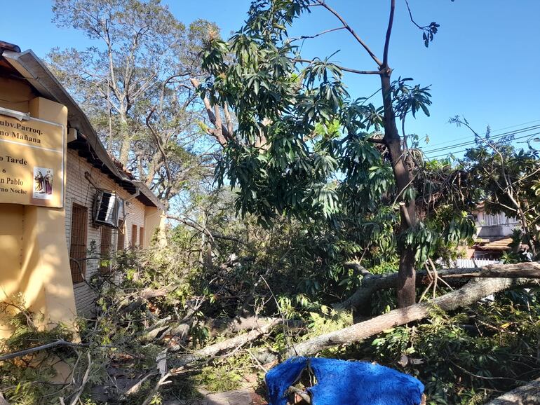 Árbol caído causa destrozos en escuela Juan XXIII destechada de Lambaré.