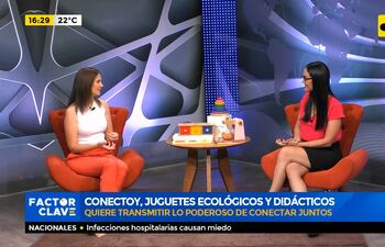 Conectoy, juguetes ecológicos y didácticos