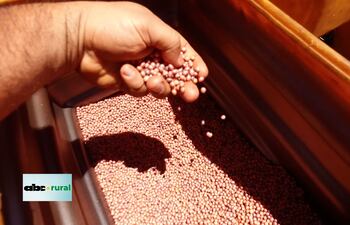 Estrategia de manejo de enfermedades en soja en el Corteva Day