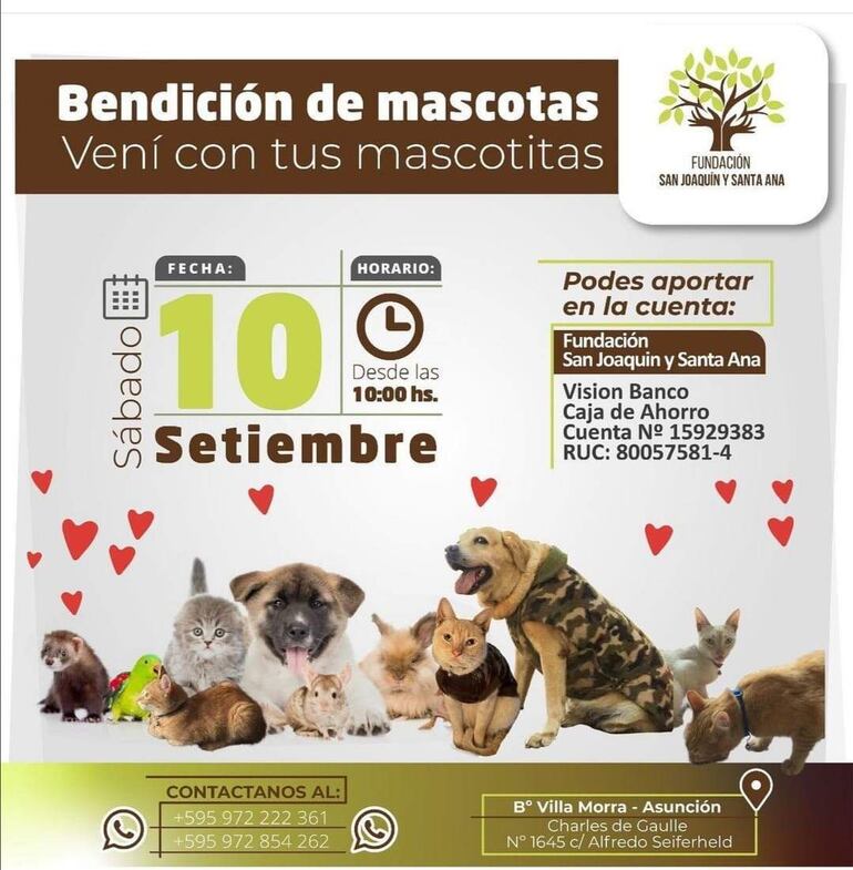 Gatos, perros, loros, conejos, pajaritos, tortugas y otros animalitos serán bienvenidos el próximo sábado 10 de septiembre para recibir la bendición. 