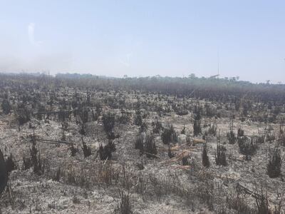 El incendio afectó 50 hectáreas de bosque y plantación de trigo en una estancia de Santa Rita.