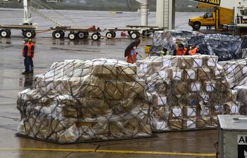 Parte de los insumos importados por las empresas Imedic SA y Eurotec SA que debían ser entregados a Salud Pública