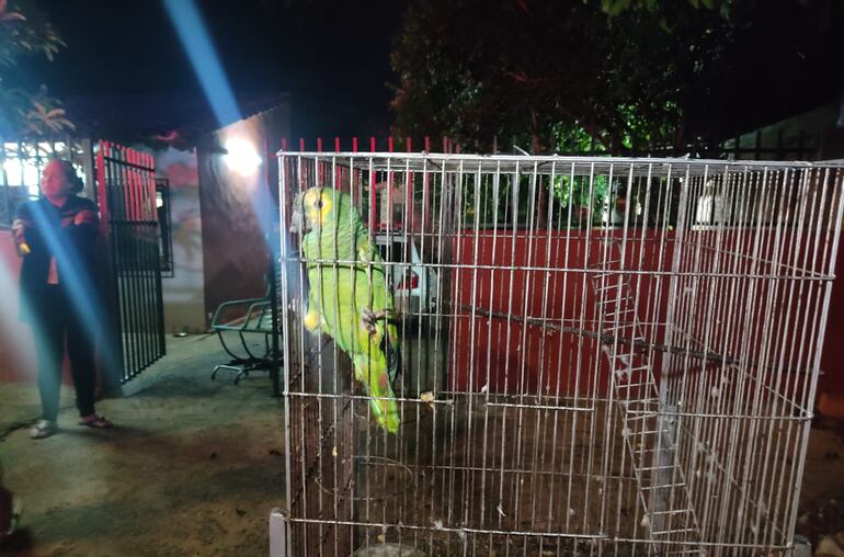 La mascota de la familia fue rescatada por los bomberos voluntarios.