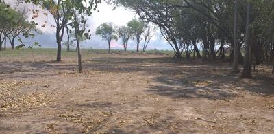 /pf/resources/images/abc-placeholder.png?d=2397