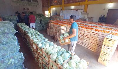 Los productores trabajan de manera coordinada y eso les permite obtener buenos resultados.