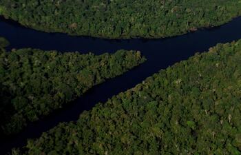 A raíz de un documental emitido por la BBC en marzo pasado, la Suprema Corte Federal de Brasil ordenó una investigación sobre la venta de áreas protegidas de la selva amazónica a través de Facebook.