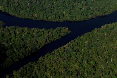 A raíz de un documental emitido por la BBC en marzo pasado, la Suprema Corte Federal de Brasil ordenó una investigación sobre la venta de áreas protegidas de la selva amazónica a través de Facebook.