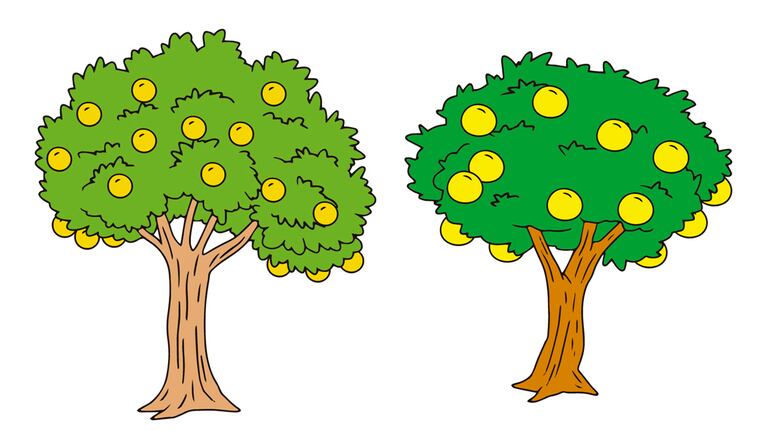 /pf/resources/images/abc-placeholder.png?d=2421